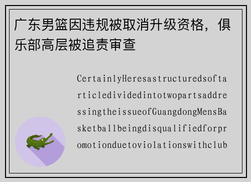广东男篮因违规被取消升级资格，俱乐部高层被追责审查