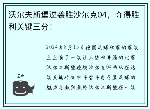 沃尔夫斯堡逆袭胜沙尔克04，夺得胜利关键三分！